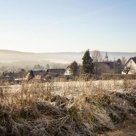 Ferienwohnung Bergaecker Neualbenreuth Luaran gambar